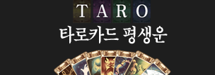 Ÿ��ī��Ǯ��